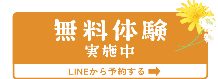 無料体験